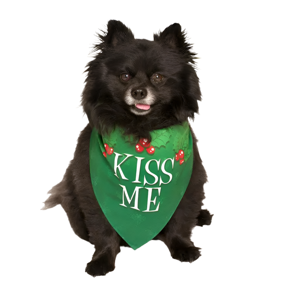 Kiss Me Holiday Dog Bandana by Dog Fashion Living