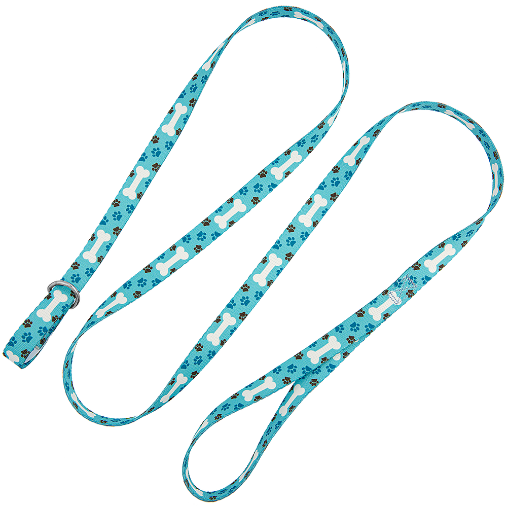 5ft Slip-Lead Leash Blue Bones by Groom Loop