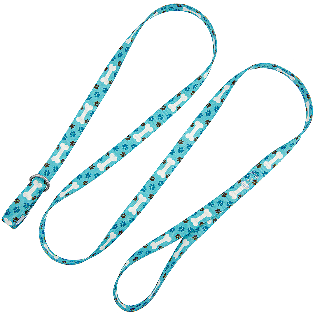 5ft Slip-Lead Leash Blue Bones by Groom Loop