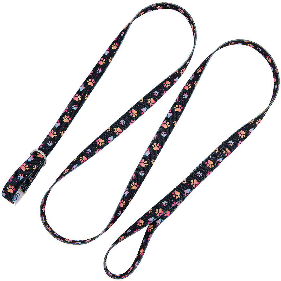 5ft Slip-Lead Leash Pretty Paws by Groom Loop