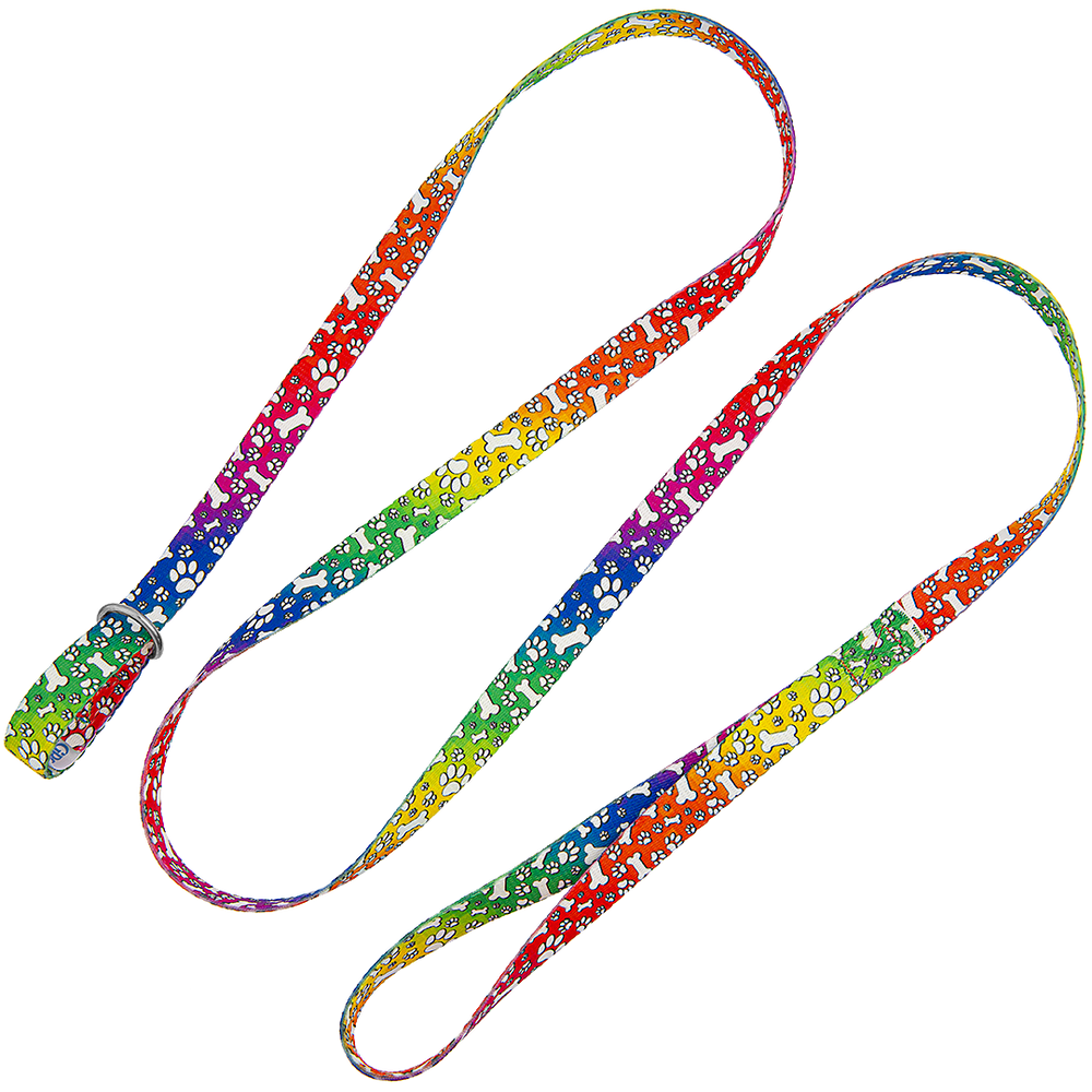 5ft Slip-Lead Leash Trippy Dog by Groom Loop