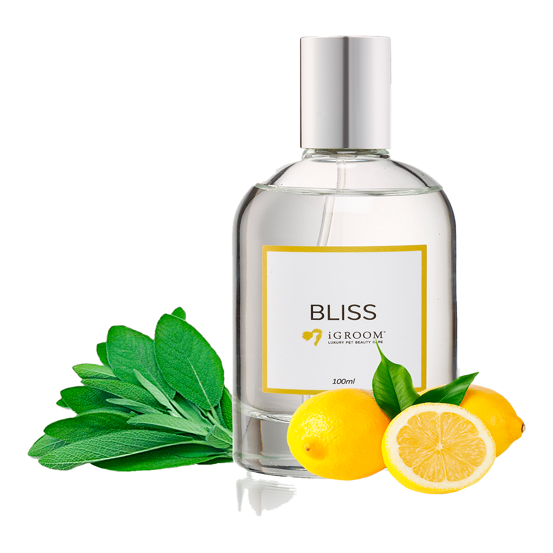 Bliss Perfume 100ml by iGroom