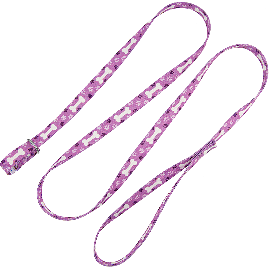 5ft Slip-Lead Leash Purple Bone by Groom Loop