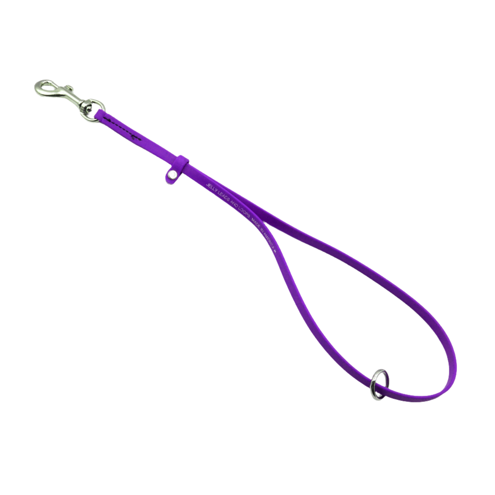 Grooming Loop 3/8'' x 24'' With Ring Purple by Jelly Pet