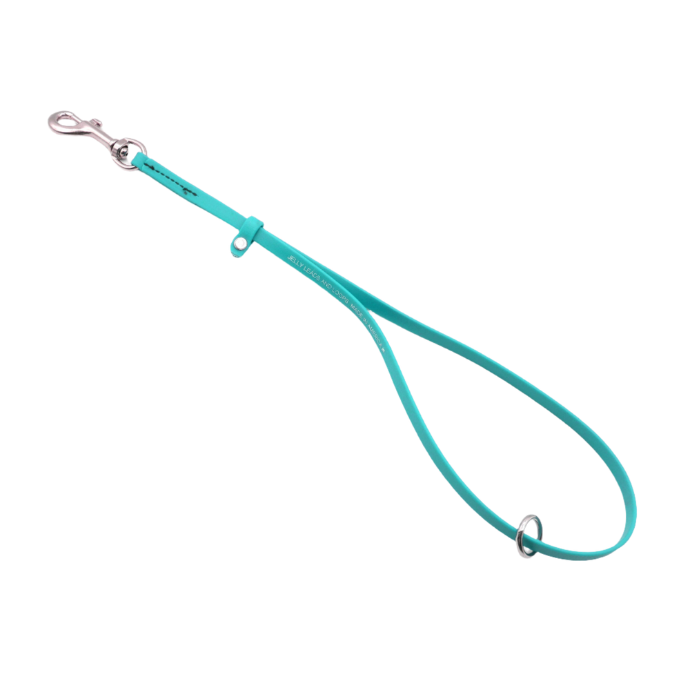 Grooming Loop 3/8'' x 24'' With Ring Teal by Jelly Pet