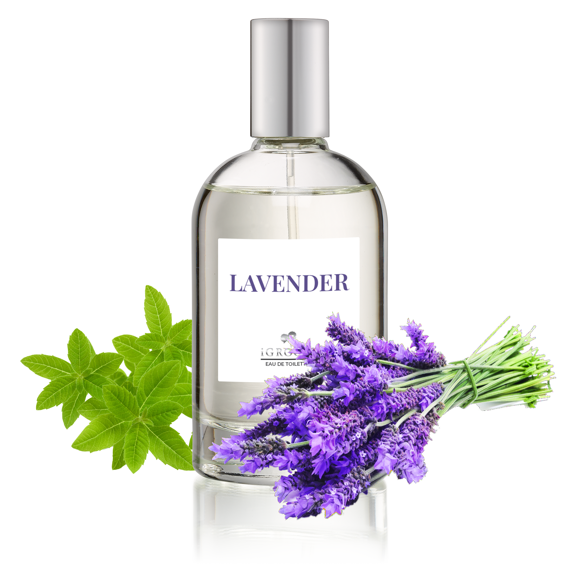 Lavender Perfume 100ml by iGroom