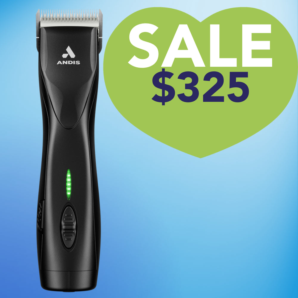 Pulse ZR II Detachable Blade Clipper with 10CeramicEdge blade by Andis