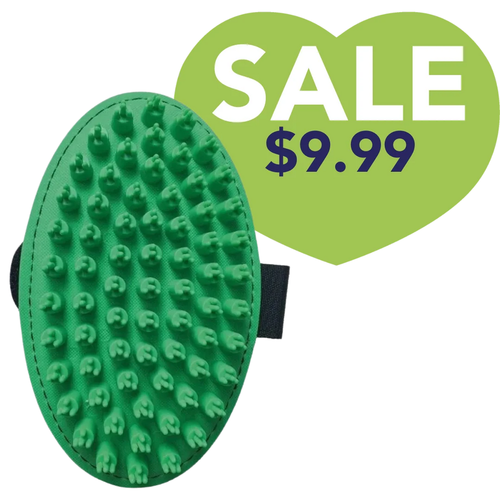 For Dogs Rubber Mitt Green by Artero