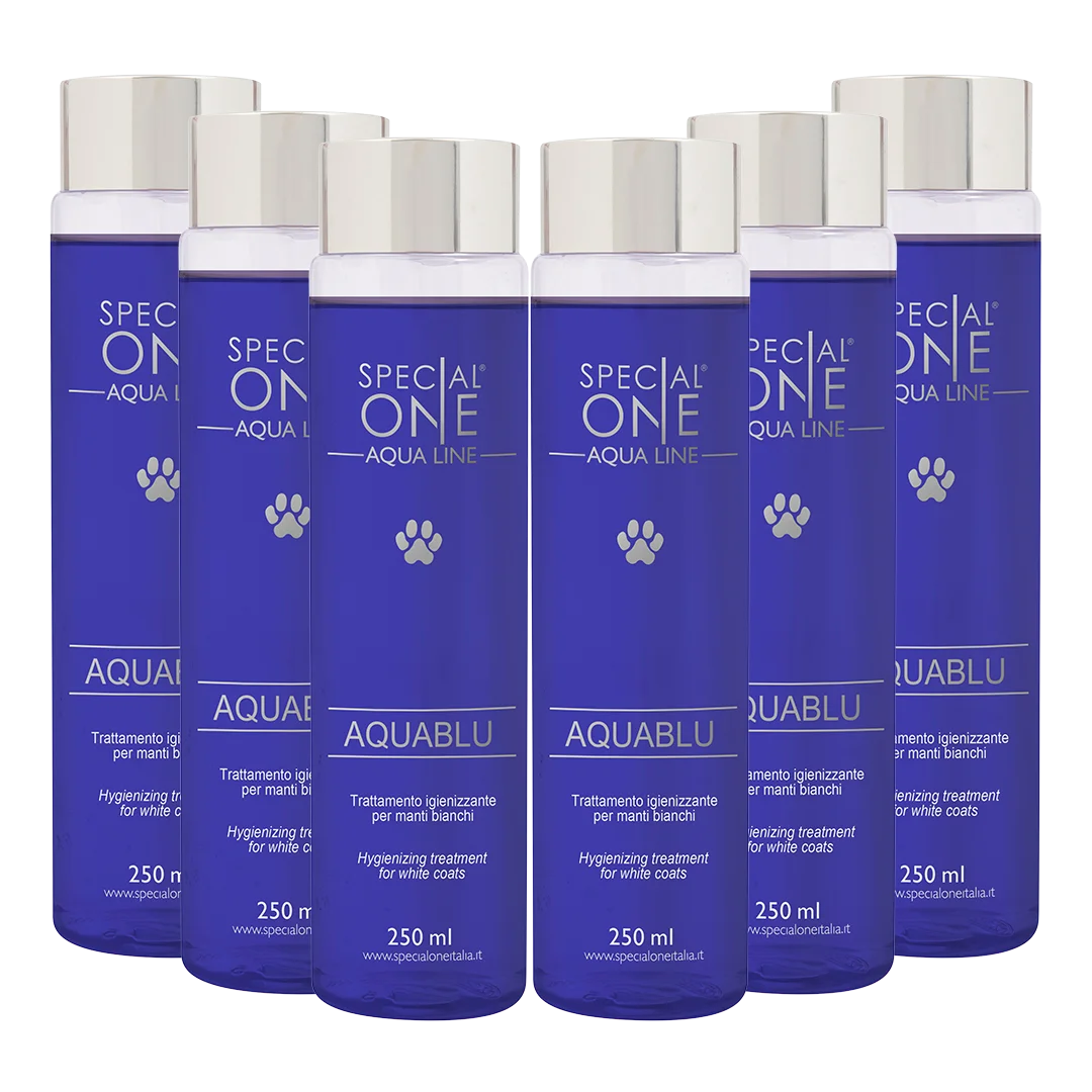 Aquablu Shampoo box of 6 250 ml by Special One