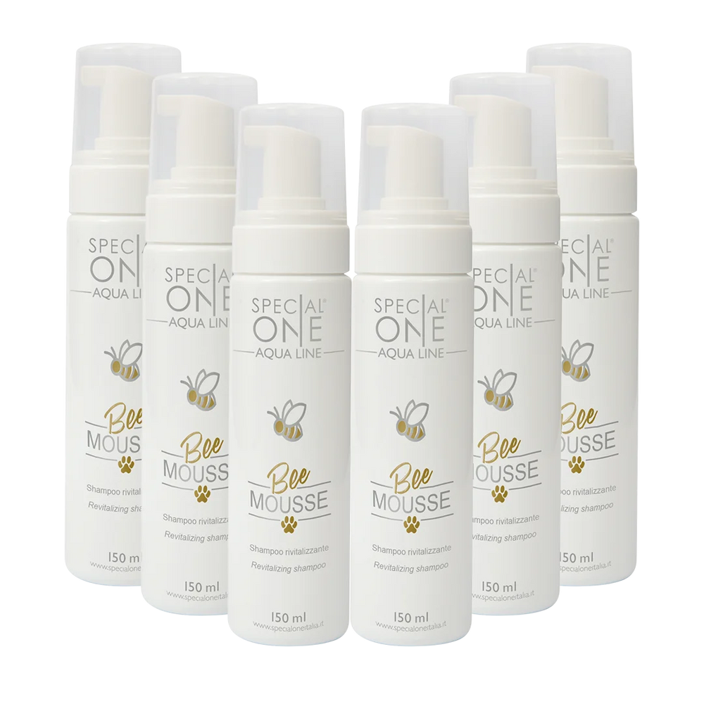 Bee Mousse Shampoo box of 6 150 ml by Special One