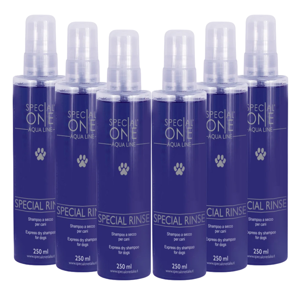 Special Rinse Dry Shampoo box of 6 250 ml by Special One