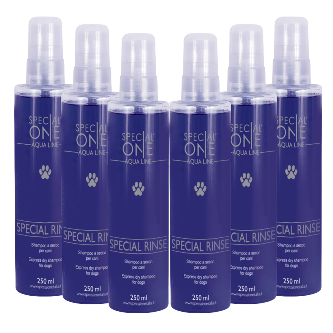 Special Rinse Dry Shampoo box of 6 250 ml by Special One