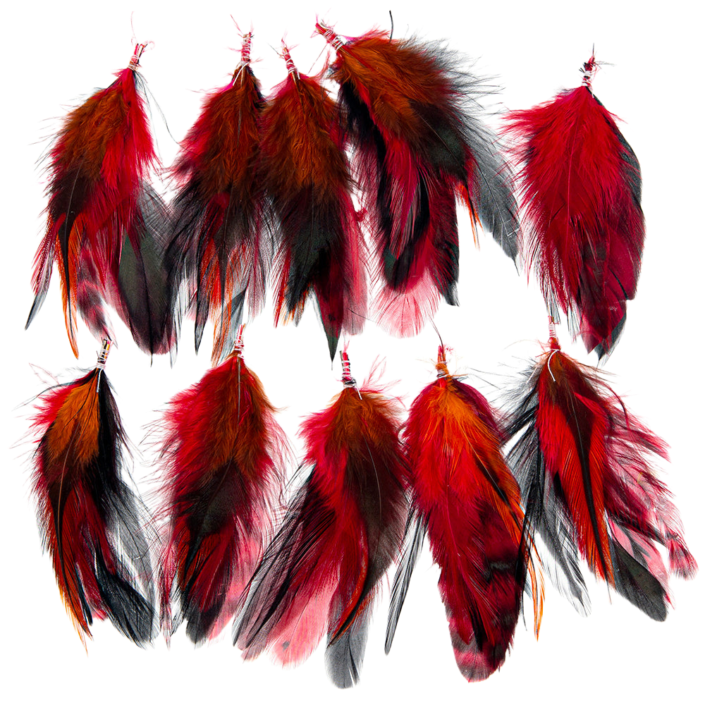 Feather Extension Flame Pack of 10 by A Creative Collection