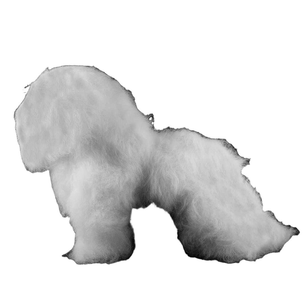 Bichon Mannequin by Aeolus