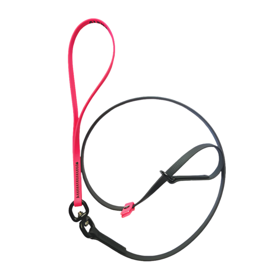 Swivel Slip Lead Pink by Alpha Grooming