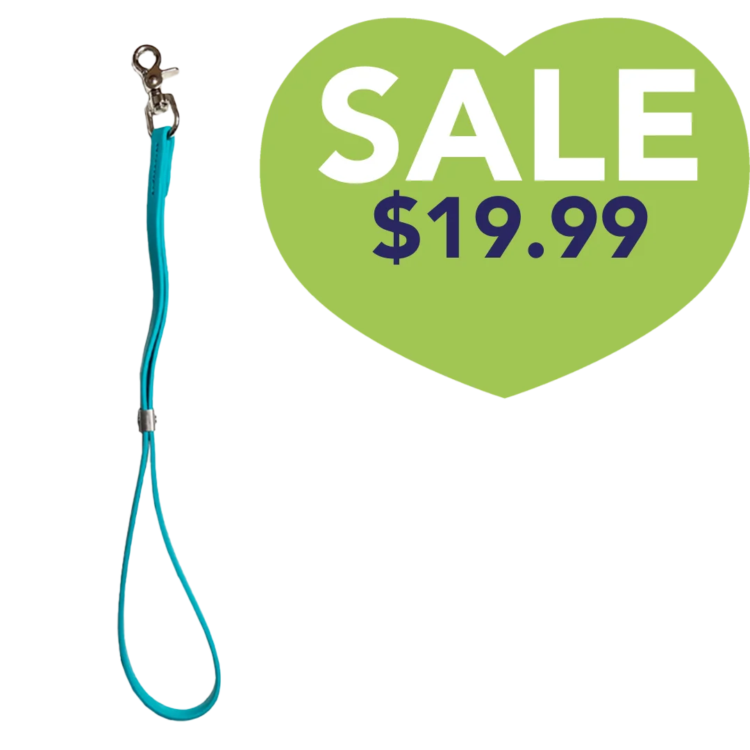 Classic Grooming Loop Teal by Alpha Grooming