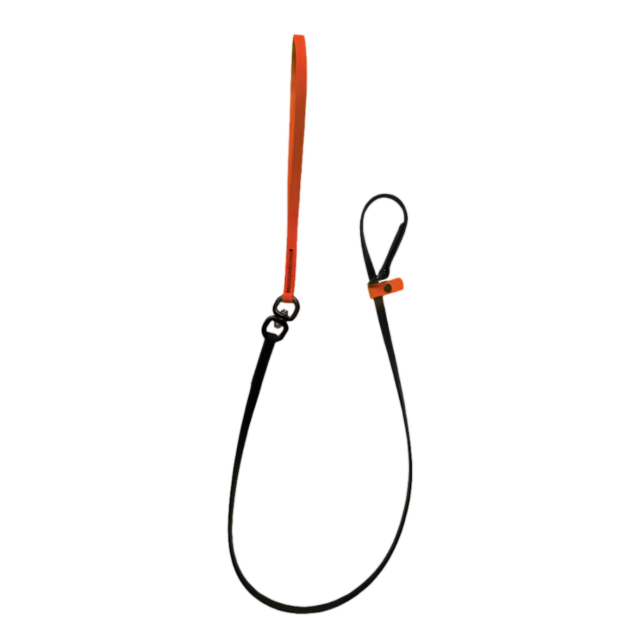 Swivel Slip Lead Orange by Alpha Grooming