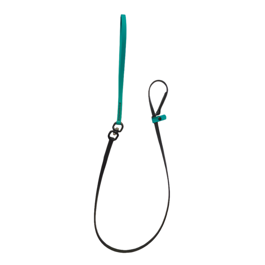 Swivel Slip Lead Teal by Alpha Grooming