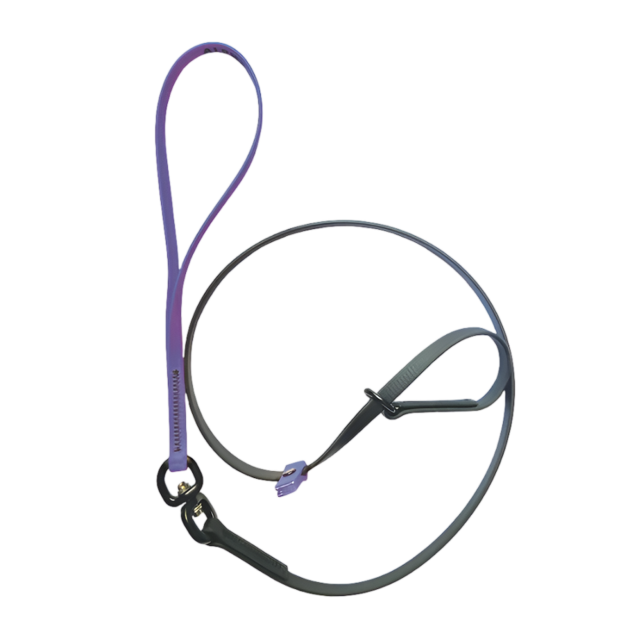 Swivel Slip Lead Amethyst by Alpha Grooming