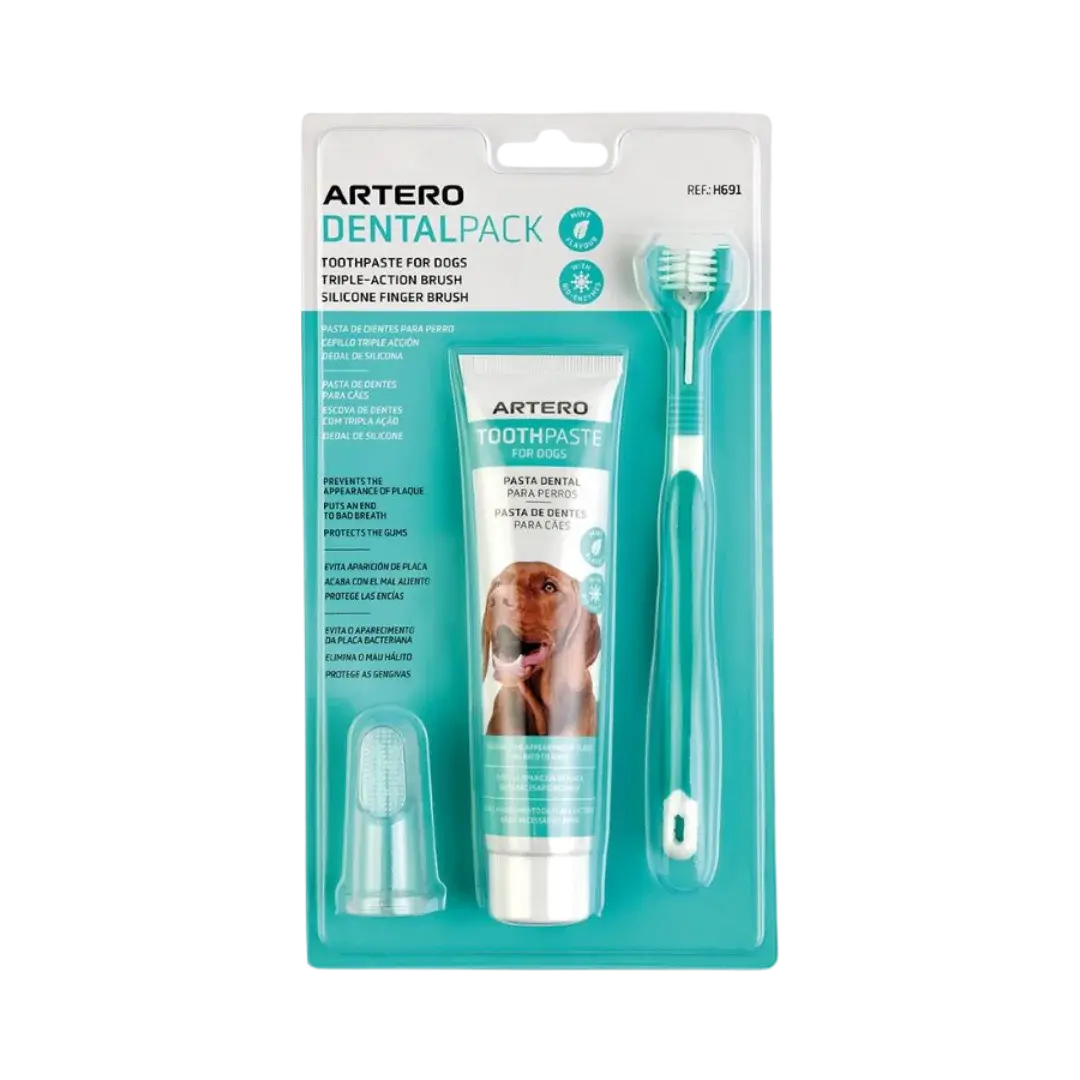 Dental Pack Smile Complete Set by Artero