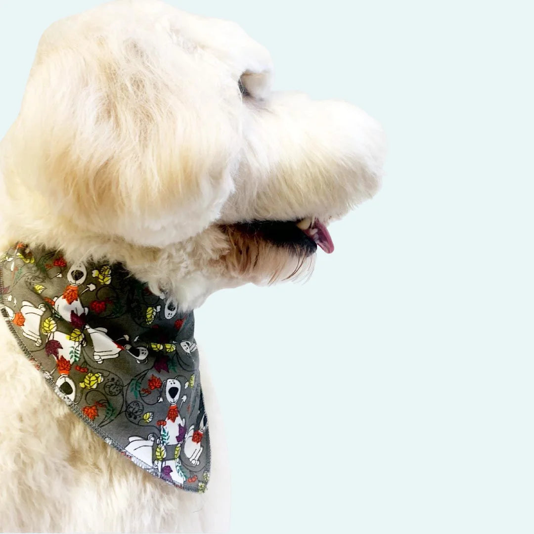 Fall & Thanksgiving Bandanas - 60 Assorted Sizes and Patterns by Bandanas Unlimited