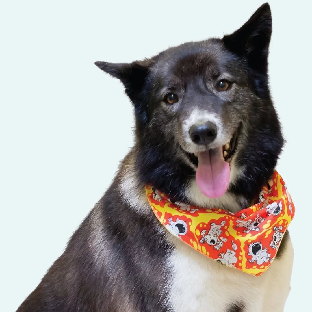 Doggie Bandanas - 60 Assorted Sizes and Patterns by Bandanas Unlimited