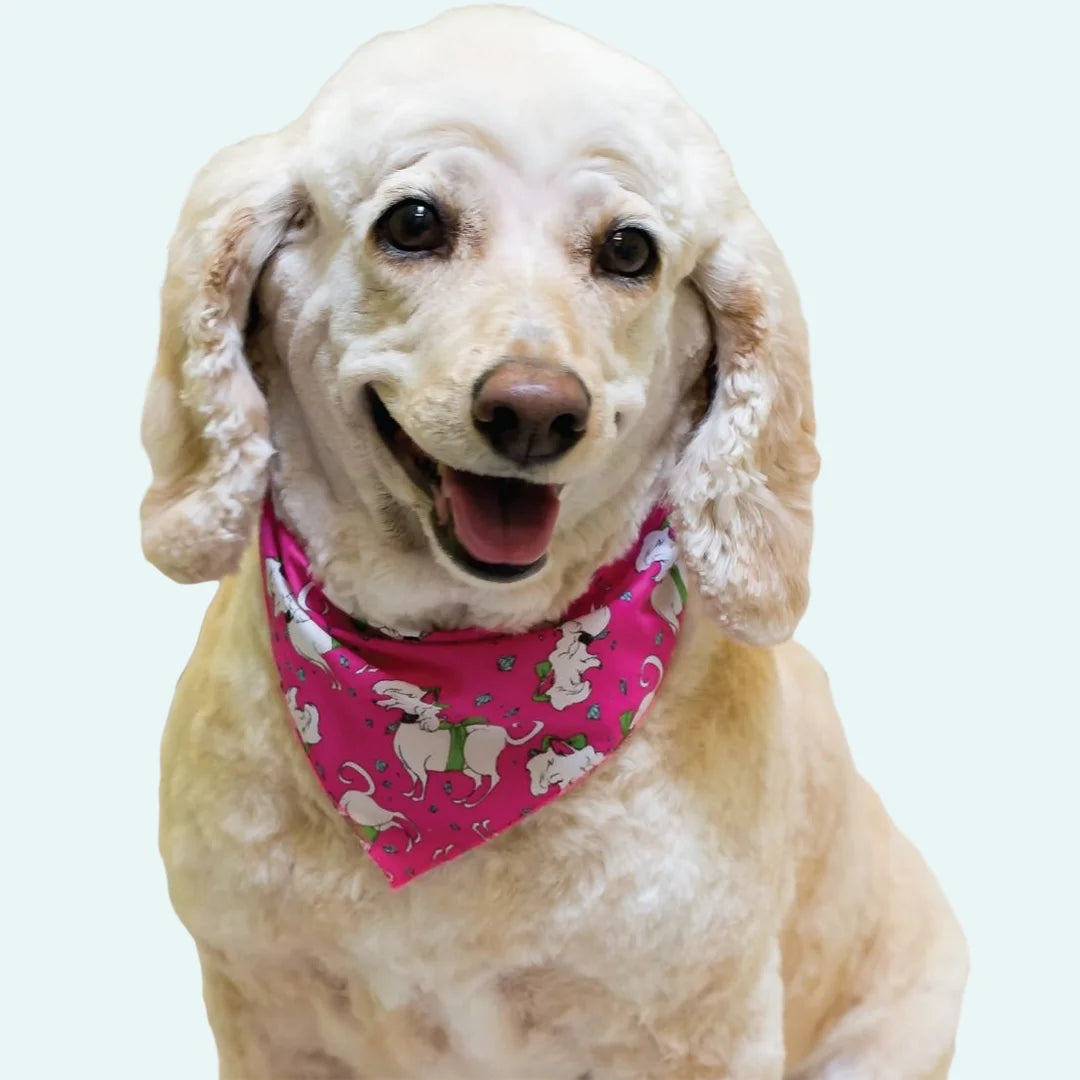 Doggie Bandanas - 60 Assorted Sizes and Patterns by Bandanas Unlimited