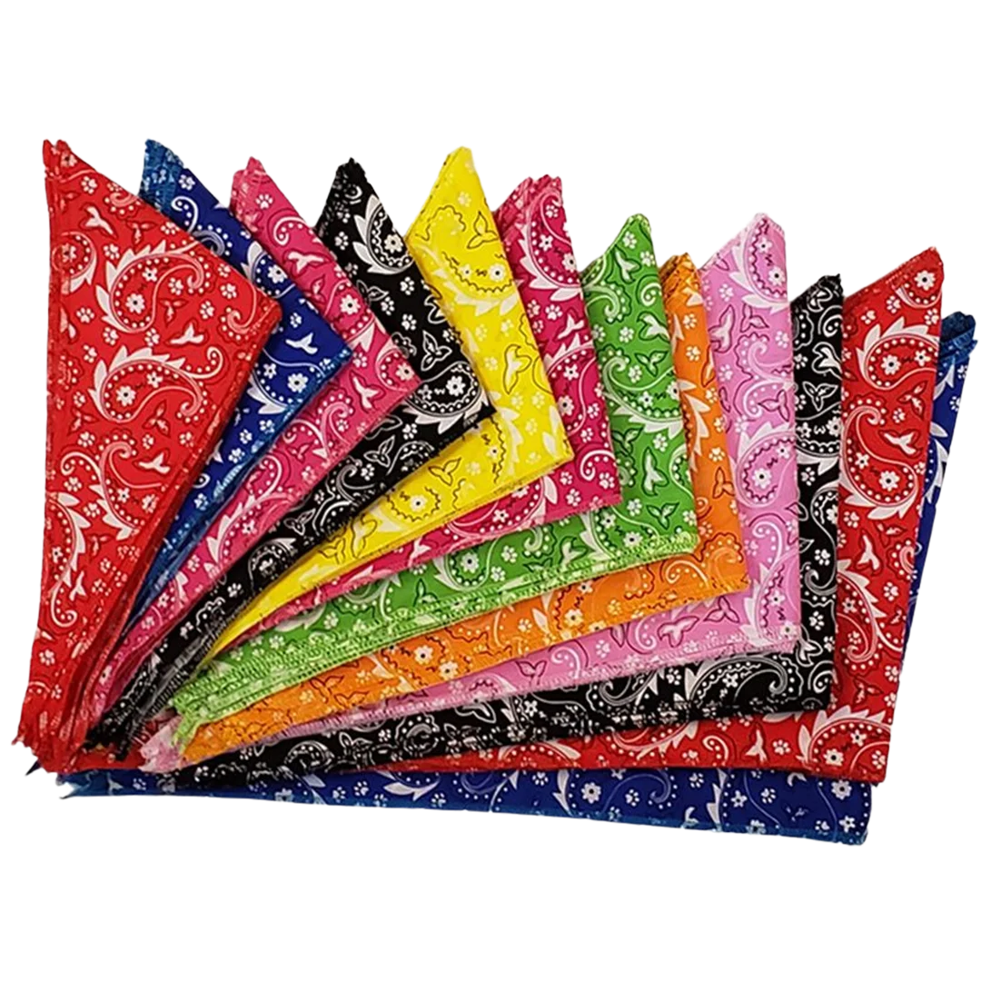 Paisley Bandanas - 60 Assorted Sizes and Patterns by Bandanas Unlimited