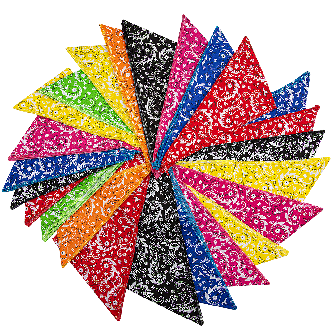 Paisley 60 Assorted Bandanas by Bandanas Unlimited