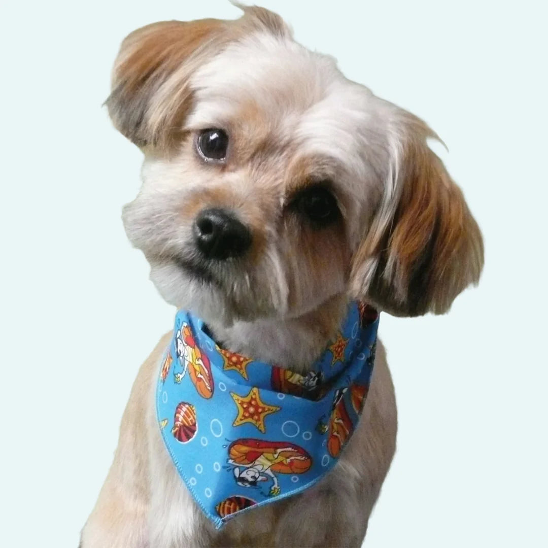 Spring & Summer Bandanas - 60 Assorted Sizes and Patterns by Bandanas Unlimited