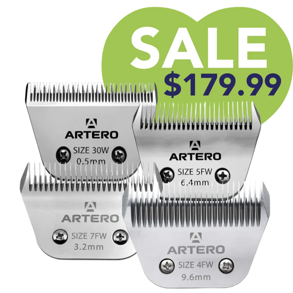 Best-Selling Wide Blades Set of 4 by Artero