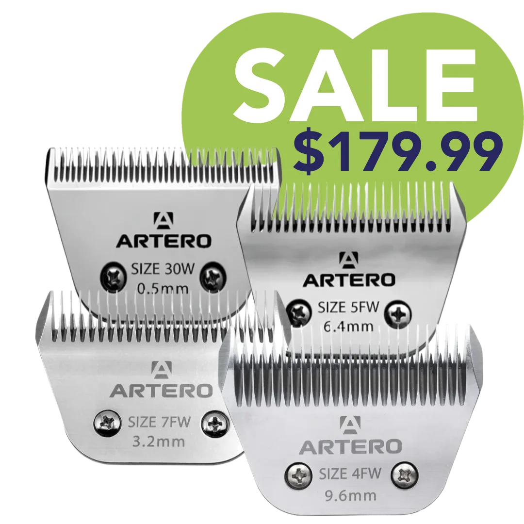 Best-Selling Wide Blades Set of 4 by Artero