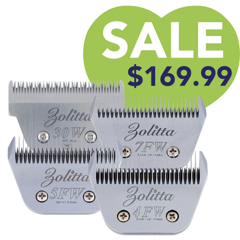 Best-Selling Wide Blades Set of 4 by Zolitta