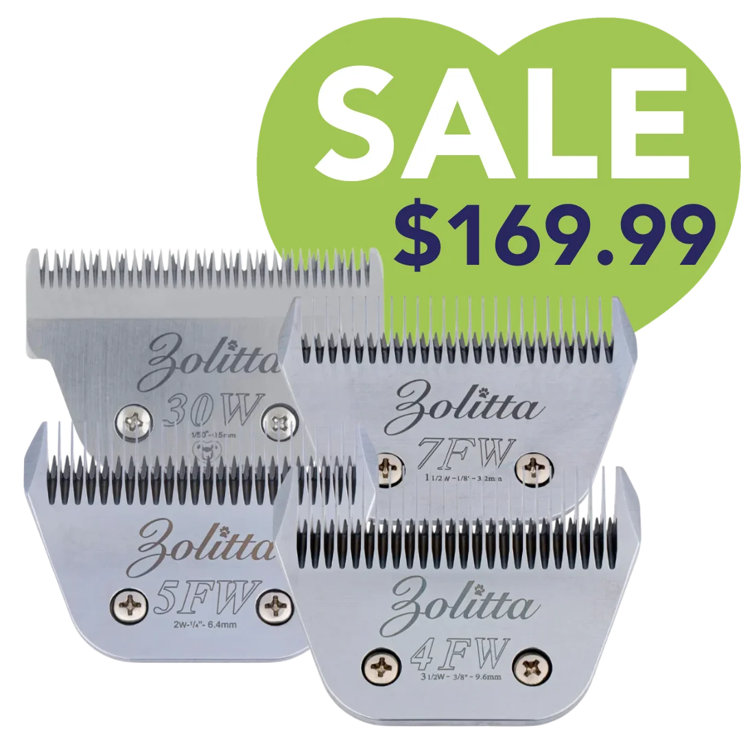 Best-Selling Wide Blades Set of 4 by Zolitta