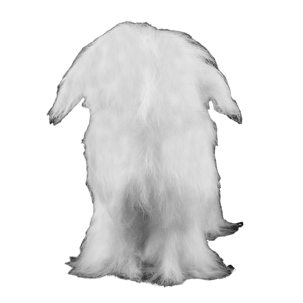 Cute Bichon Mannequin by Aeolus