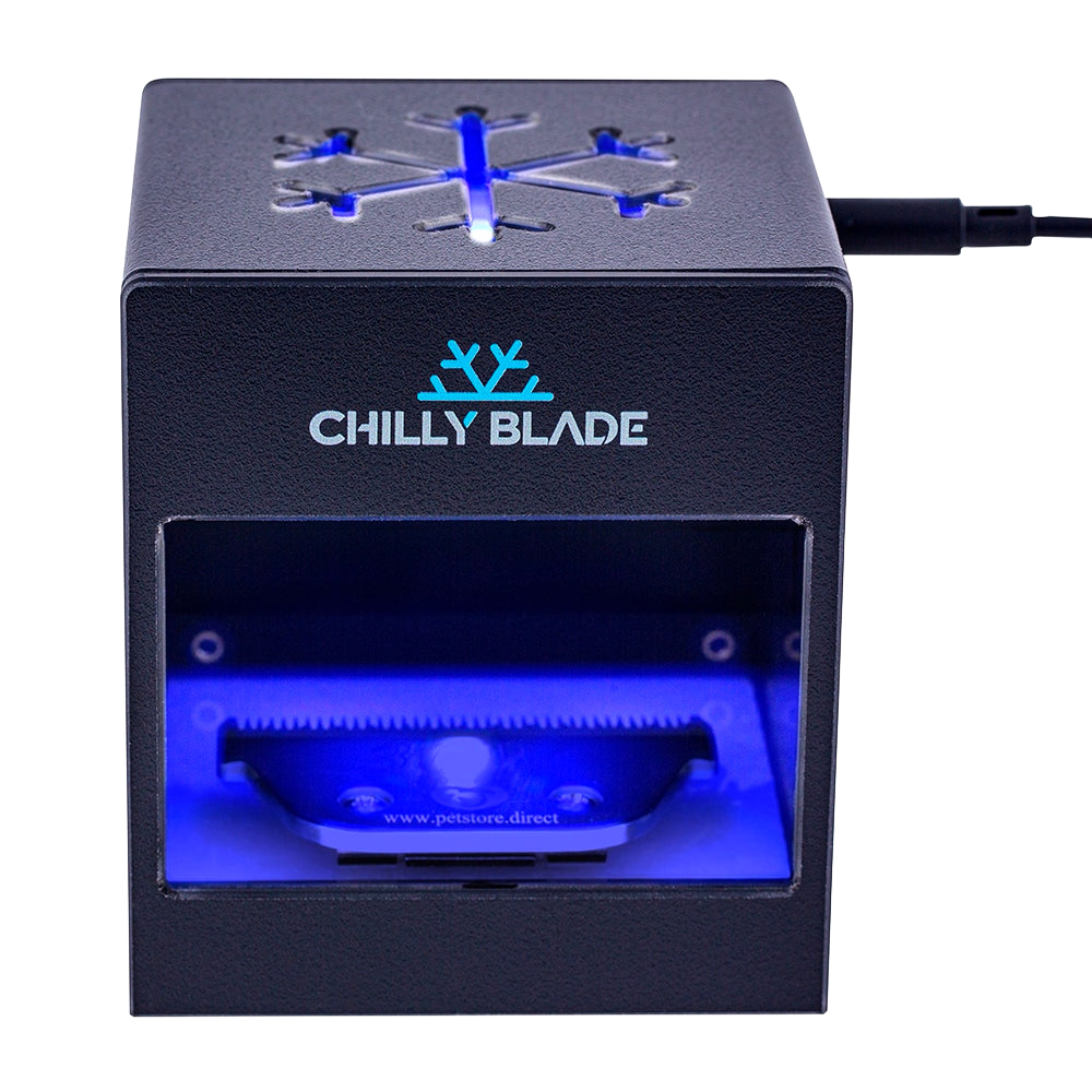 Black Original Chilly Blade by Chilly Blade