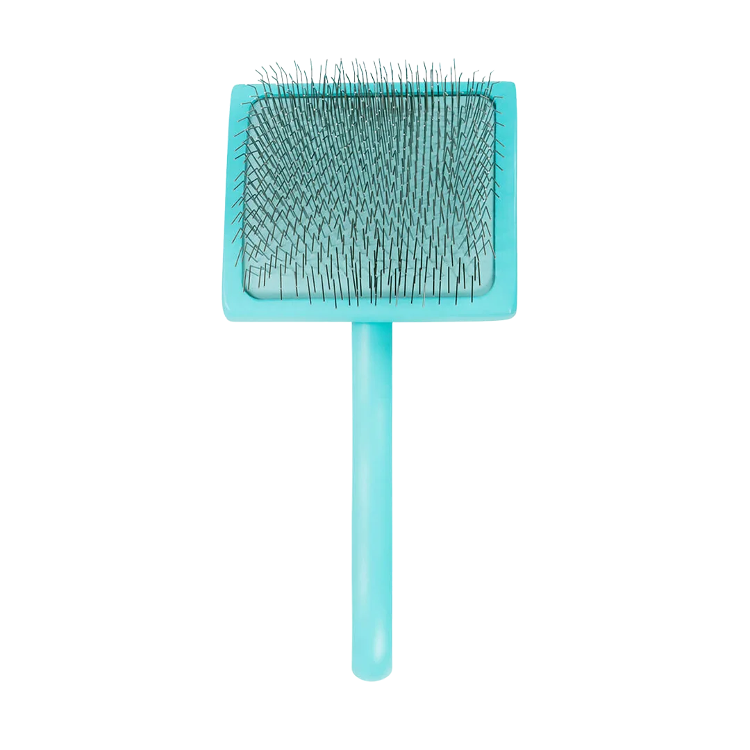 Large Home Care Big G Teal Slicker Brush by Chris Christensen