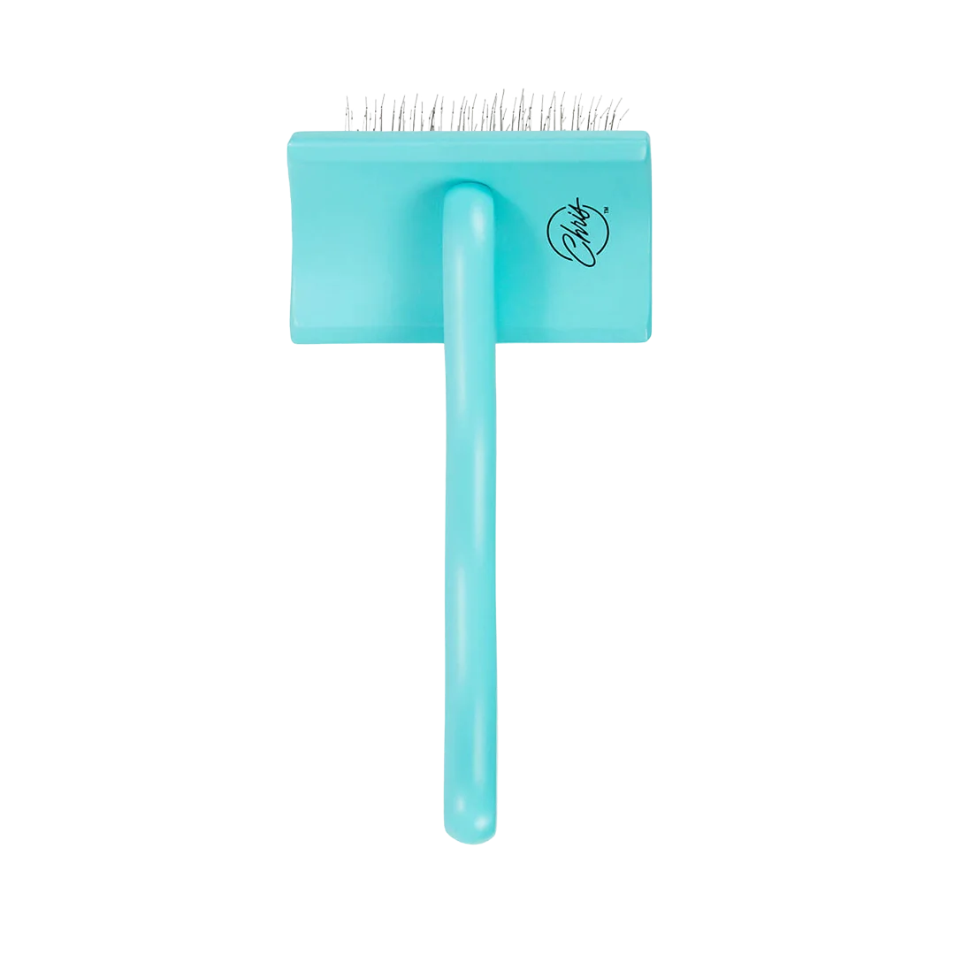 Medium Home Care Big G Teal Slicker Brush by Chris Christensen