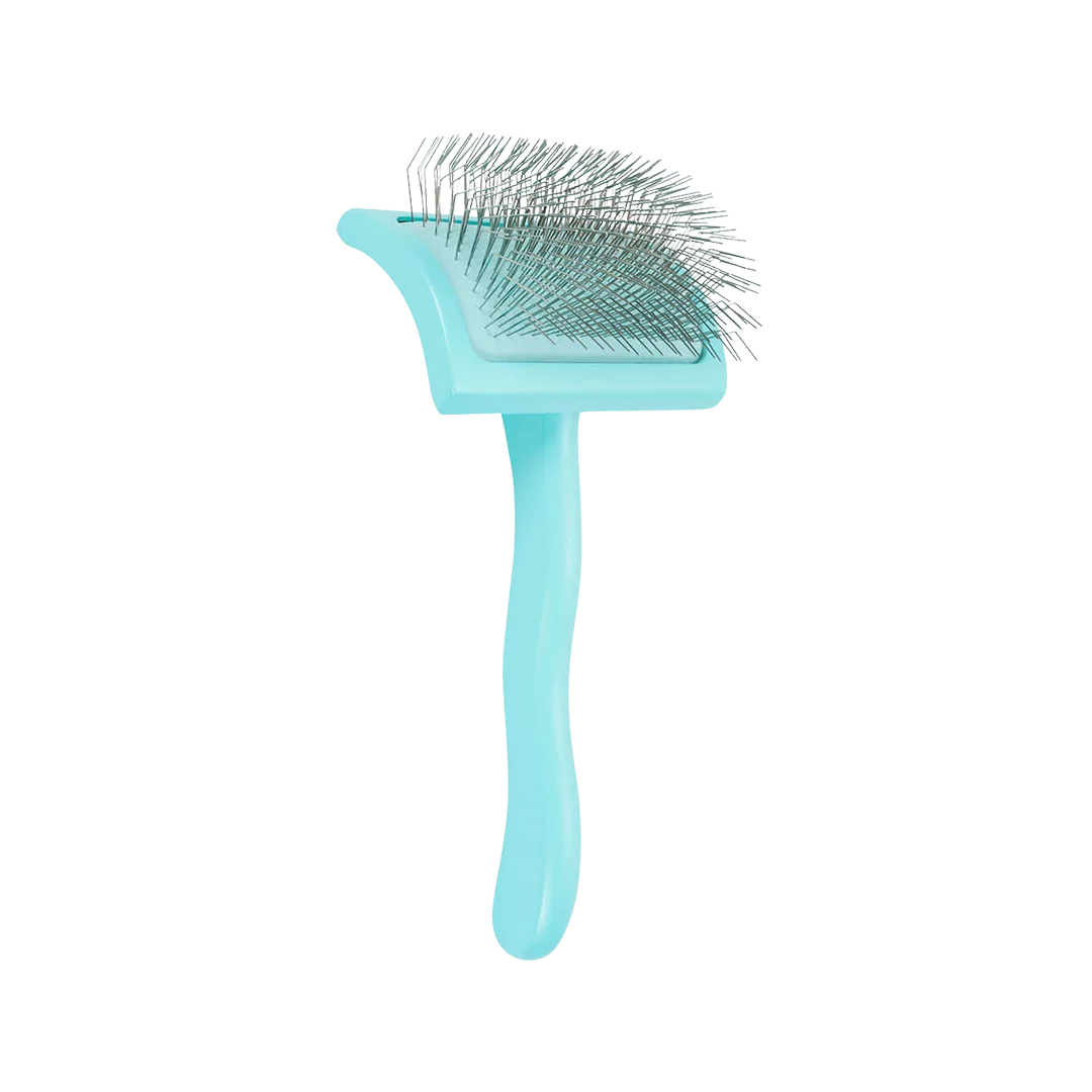 Medium Home Care Big G Teal Slicker Brush by Chris Christensen