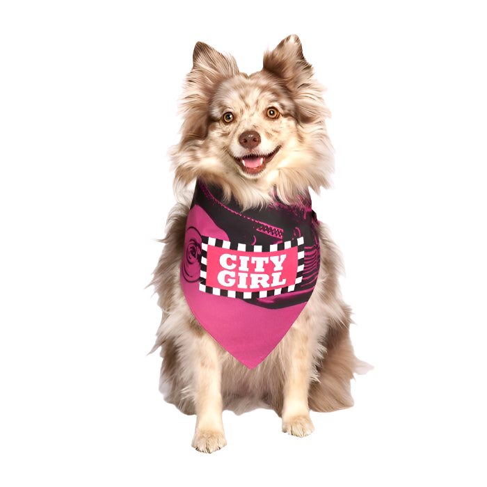  City Girl Dog Pink Bandana by Dog Fashion Living