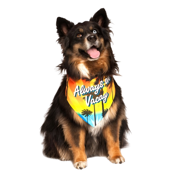 Always On Vacay Dog Bandana by Dog Fashion Living