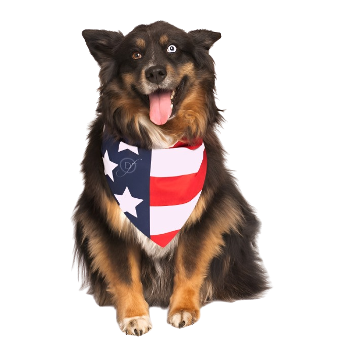 American Flag Dog Bandana by Dog Fashion Living