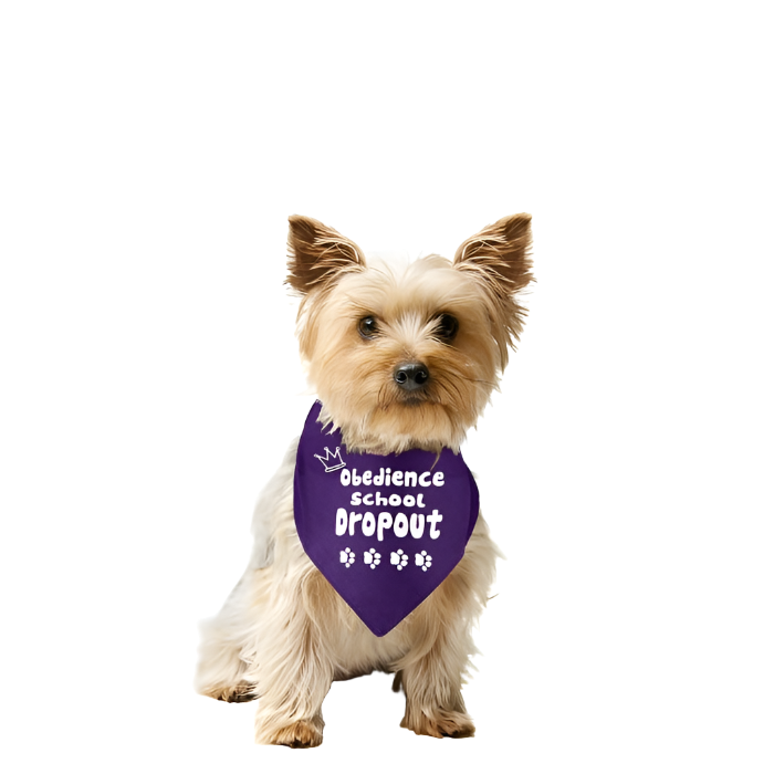 Obedience School Dropout by Dog Fashion Living