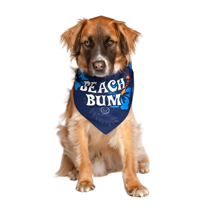 Beach Bum Dog Bandana by Dog Fashion Living