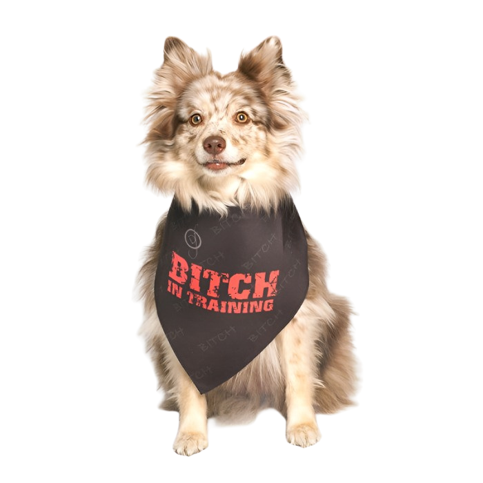 Bitch In Training Dog Bandana by Dog Fashion Living