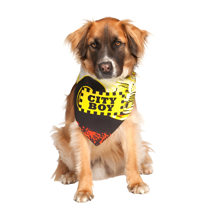 City Boy Dog Bandana by Dog Fashion Living