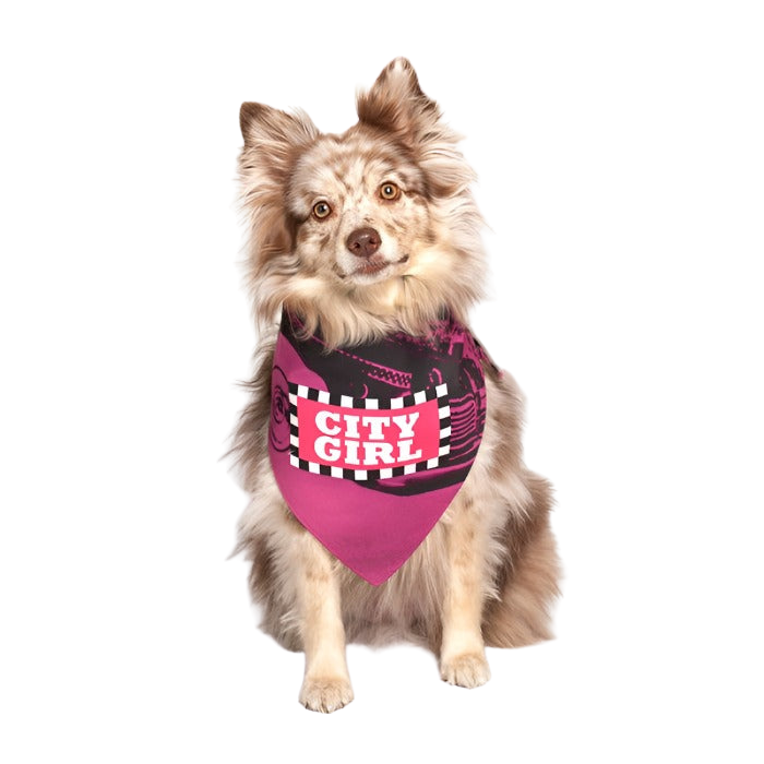 City Girl Dog Bandana by Dog Fashion Living