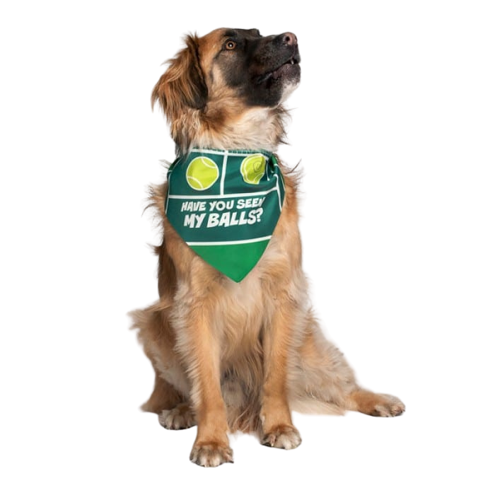 Funny Dog Bandana Have You Seen my Balls by Dog Fashion Living