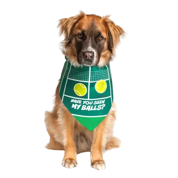 Have You Seen my Balls Dog Bandana by Dog Fashion Living 