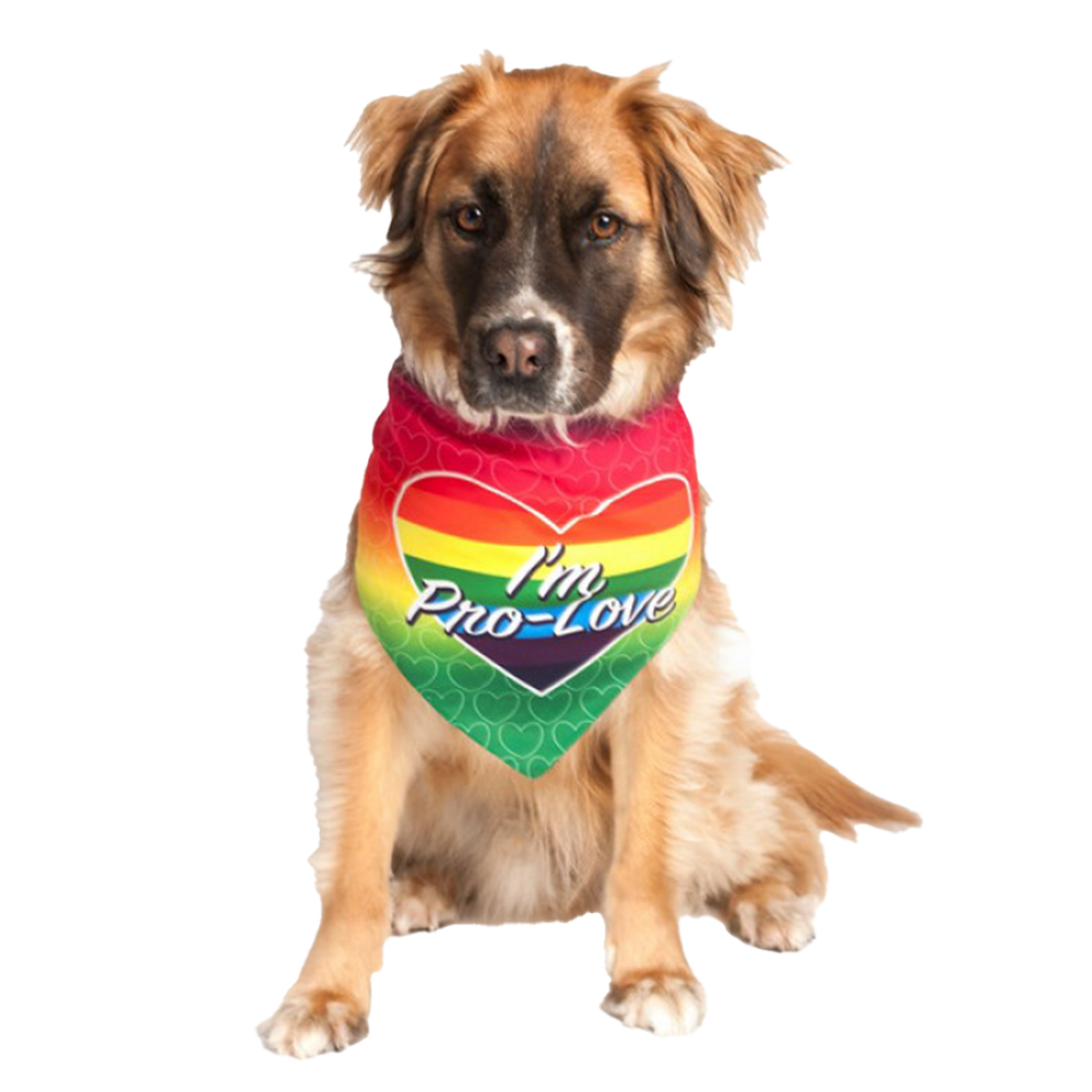 I'm Pro Love LGBTQ Dog Bandana by Dog Fashion Living